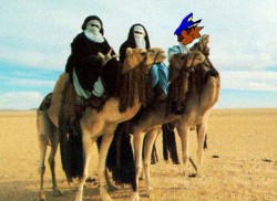 <strong>Louisy en el desierto recordando su nombre</strong>. <br>Por aquella época el grupo 'America' puso de moda la canción 'A horse with no name' una de cuyas estrofas decía 'En el desierto puedes recordar tu nombre'.<br>Fue la canción con que me despidieron mis amigos.